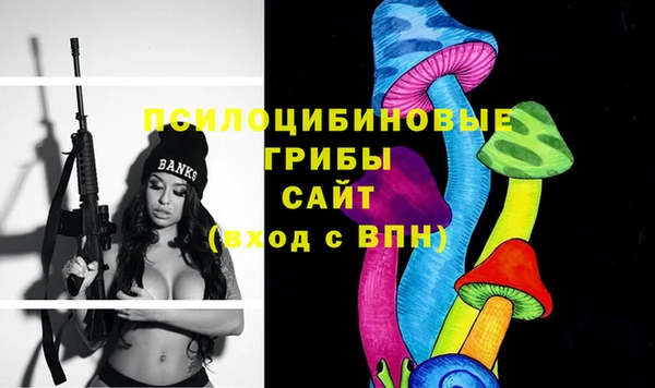 2c-b Аркадак