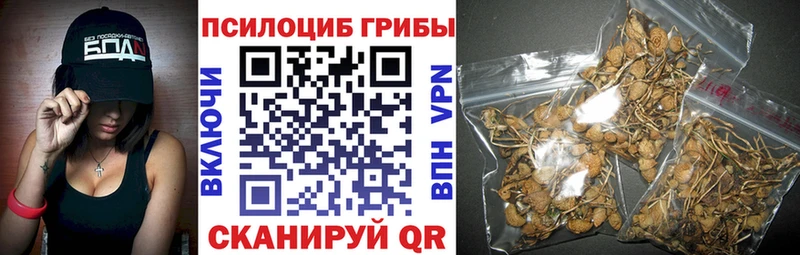 закладки  Тара  Псилоцибиновые грибы мухоморы 
